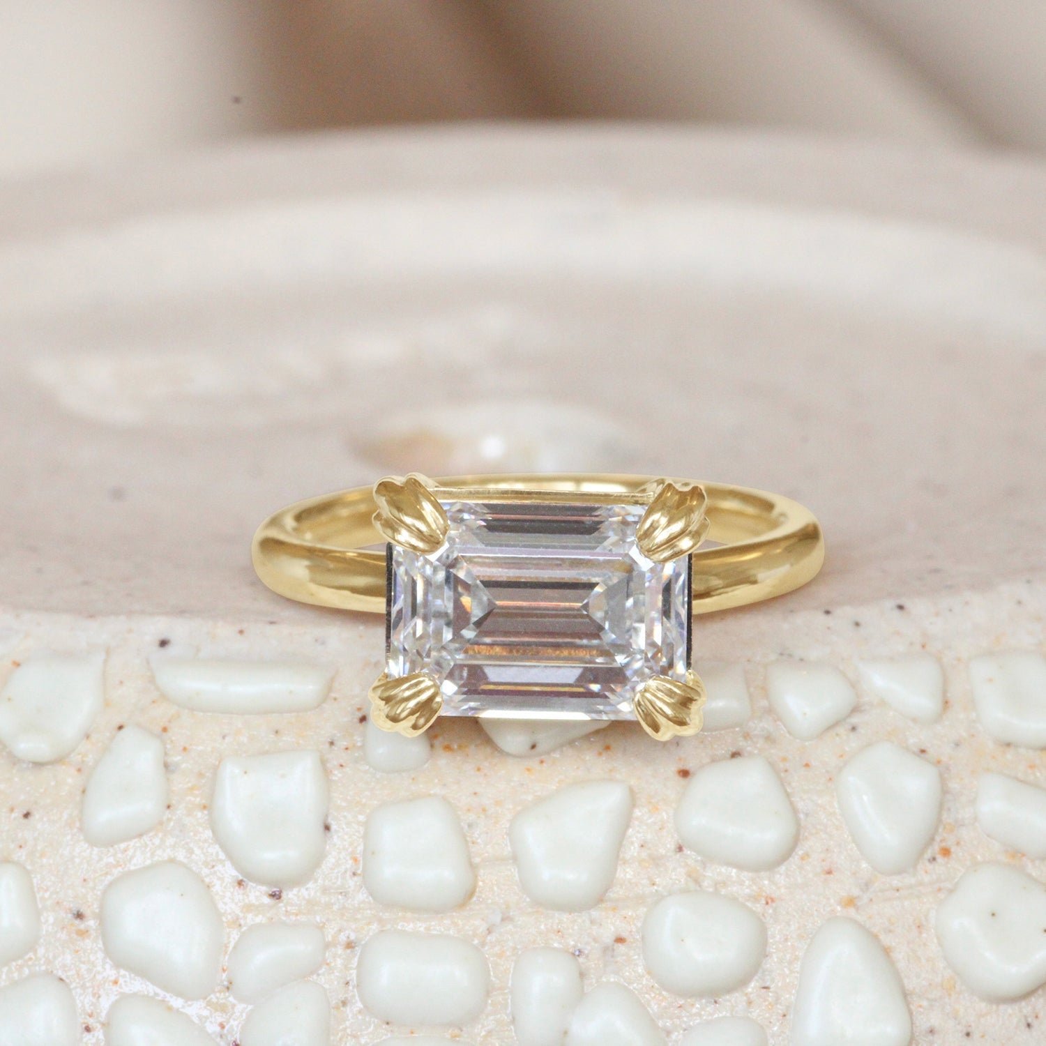 #1758214845 Julia + Clint