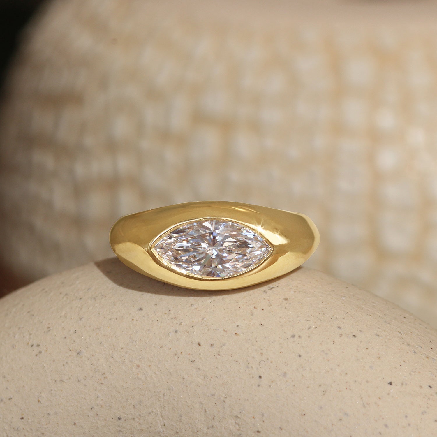 #1758214844 Vani + Elizabeth