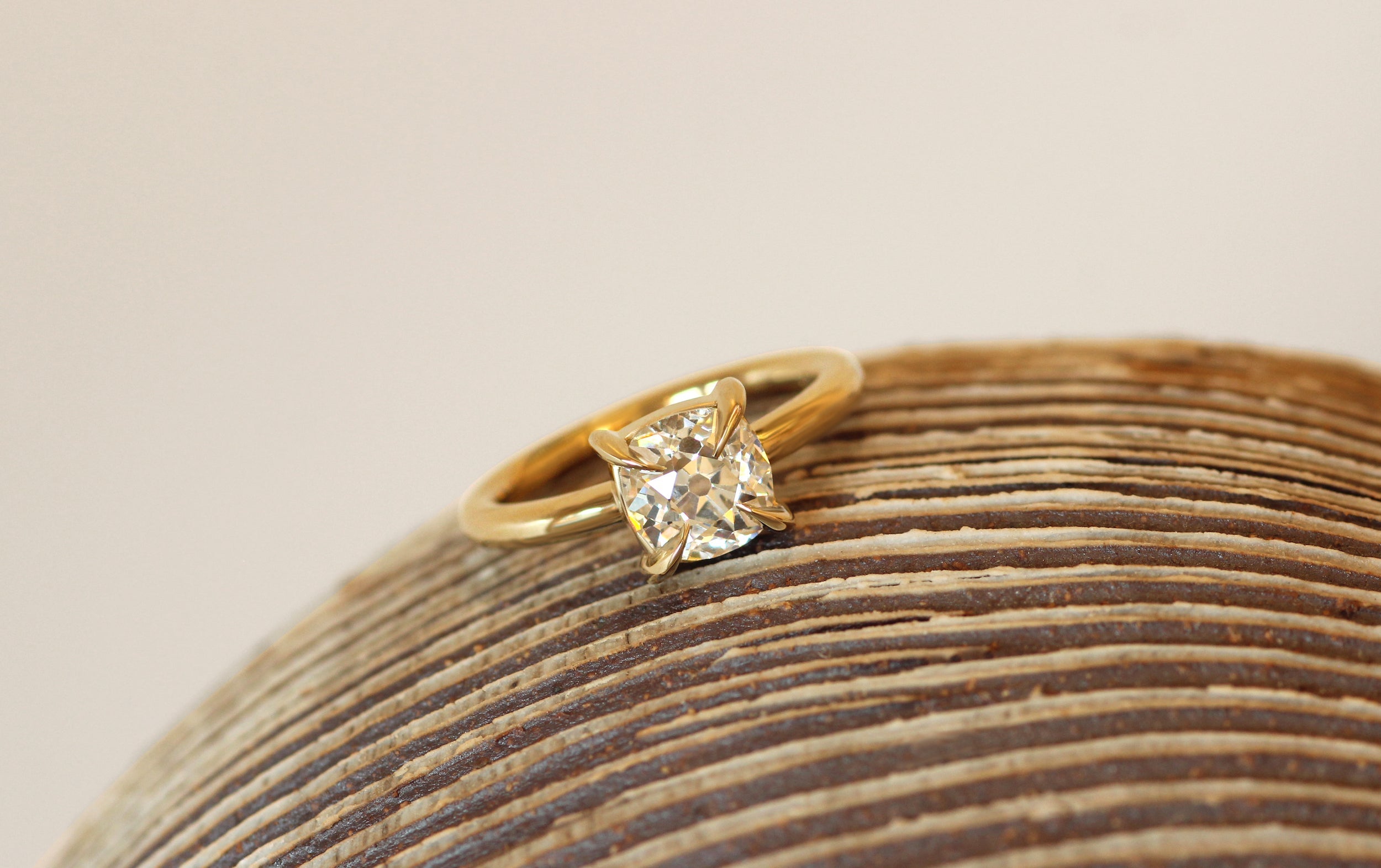 #175821497301 Hanna + Vishal