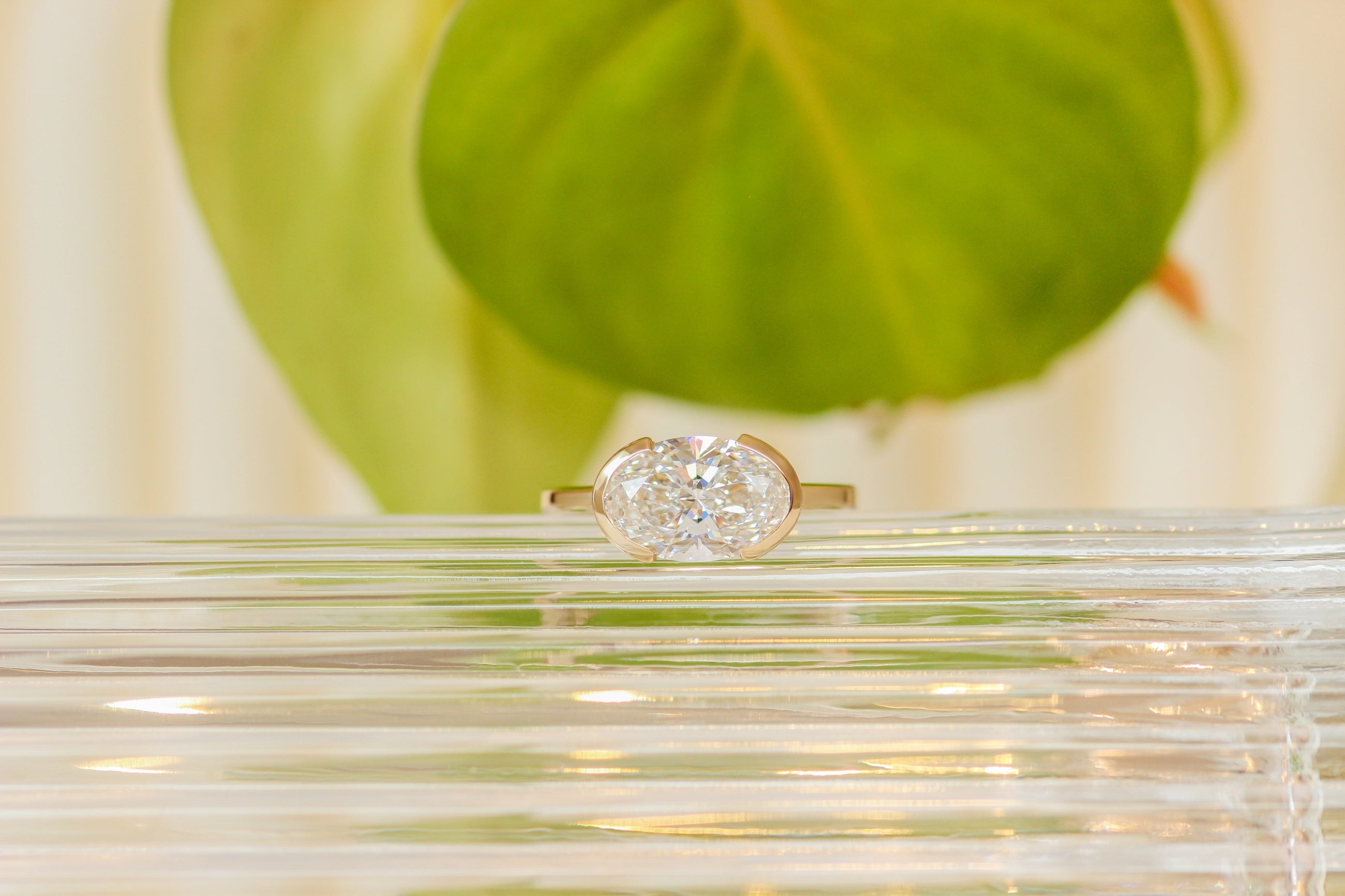 #175821497317 Alexa + Ryan