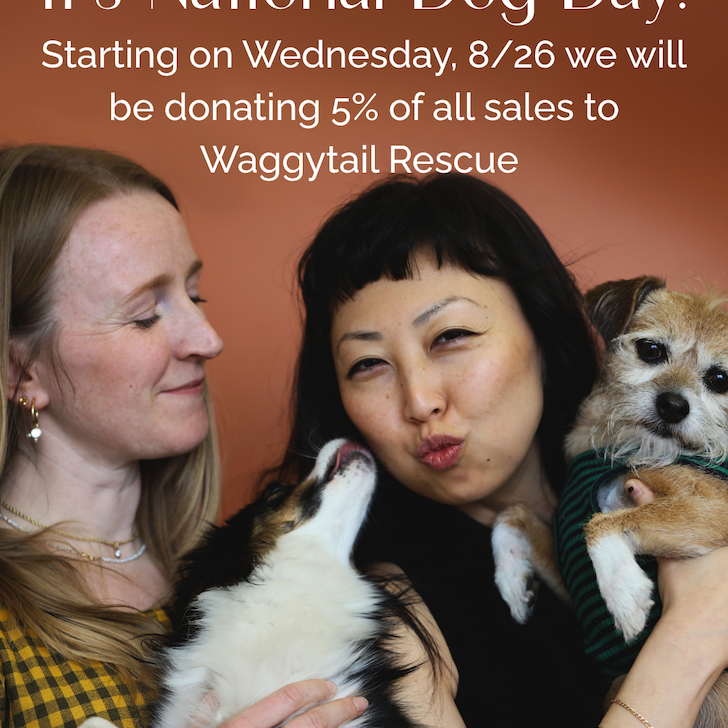 National Dog Day Fundraiser