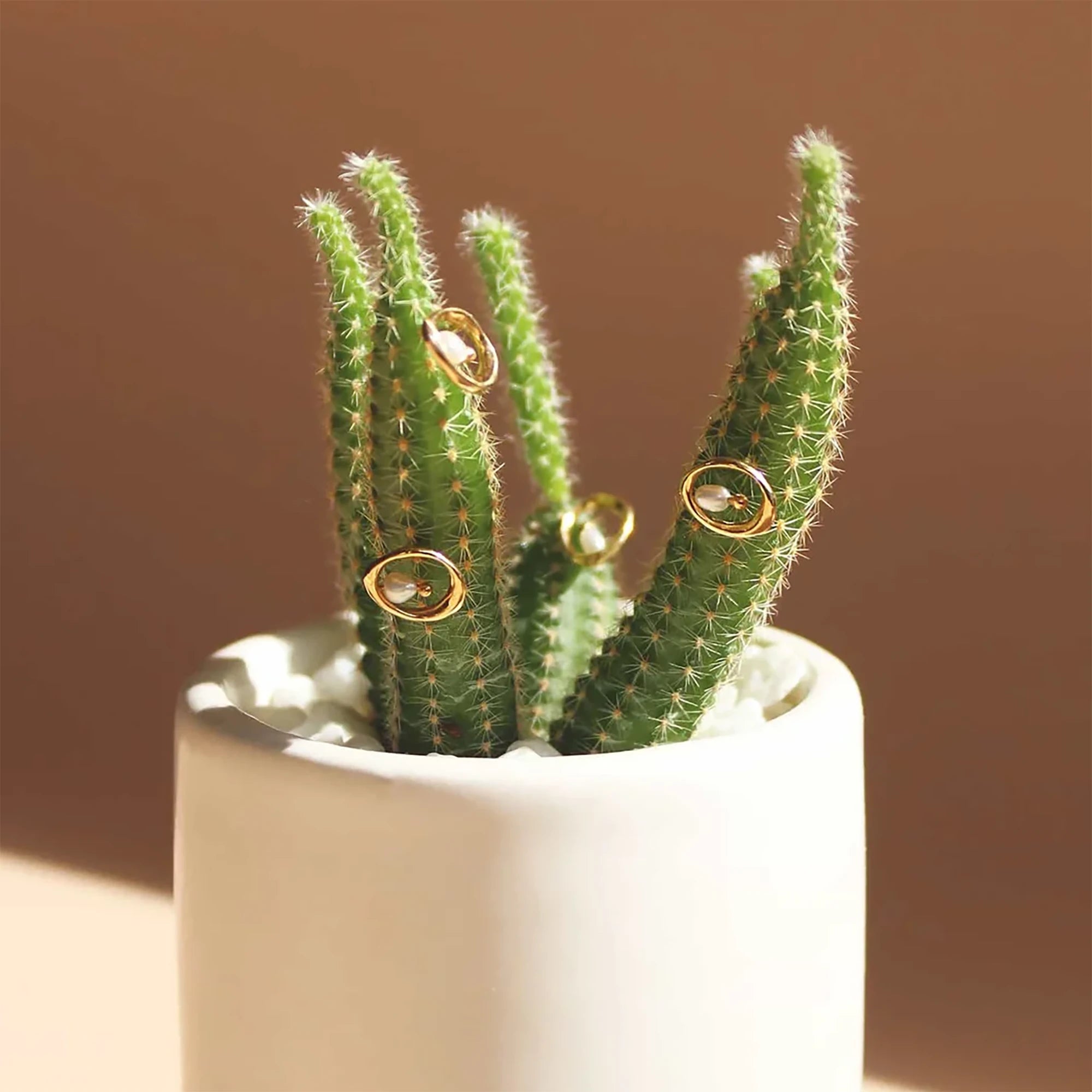 Various Amorphous / Pearl Earrings staged on a cactus
