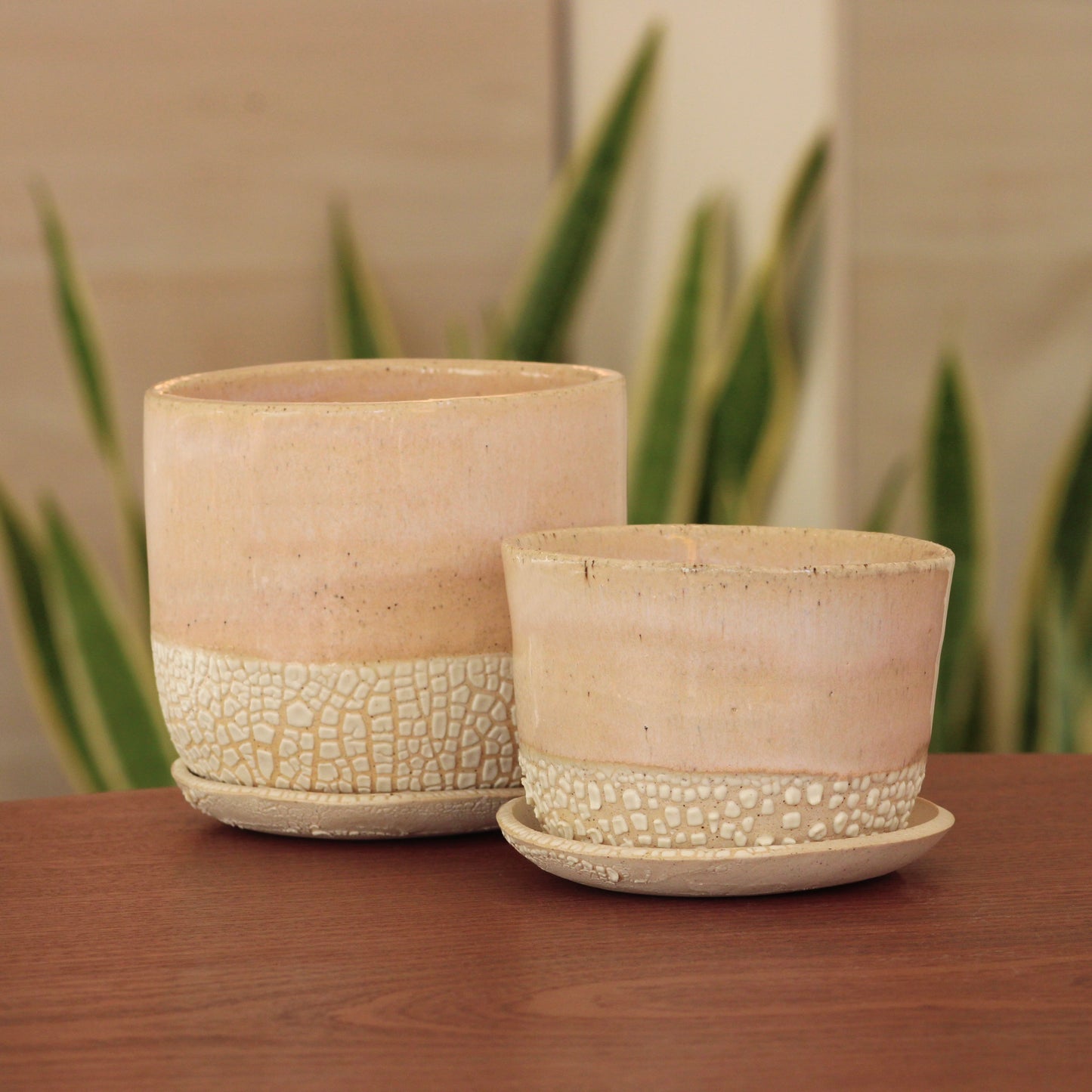 Planter Medium