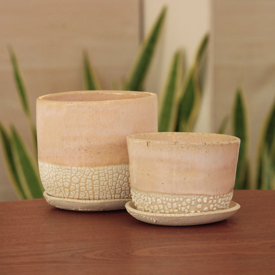 Planter Medium