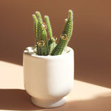 Amorphous Pearl Bead Earring / Small Circle by Goldpoint