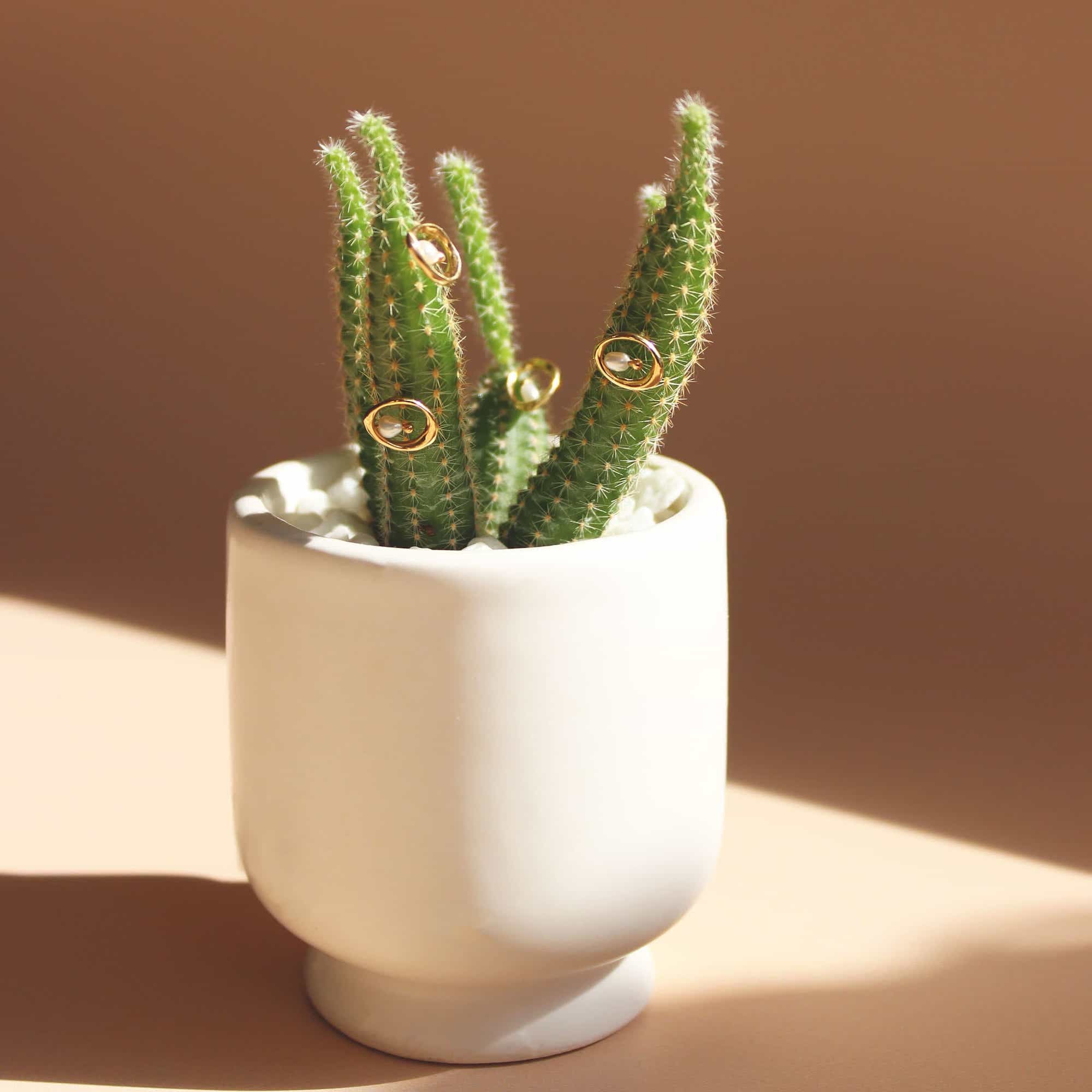 Amorphous Pearl Bead Earring / Small Circle by Goldpoint