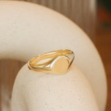 Lifestyle angled side view of Amorphous Signet Ring in 14k Yellow Gold by Goldpoint Jewelry on a ceramic with blurred background