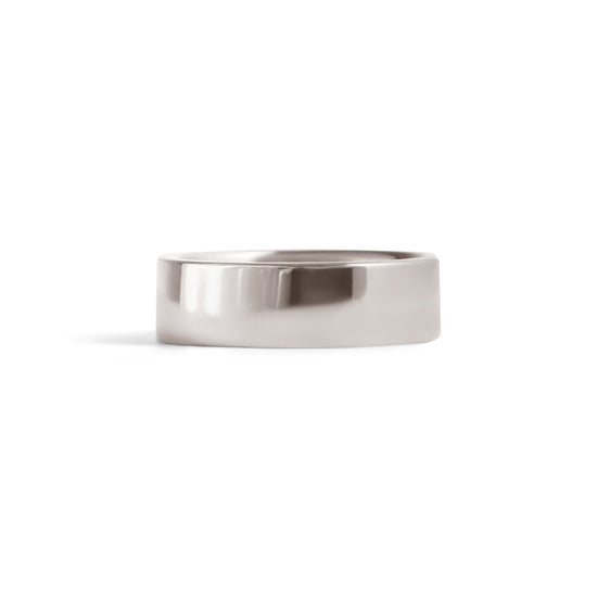 Front view of Flat Band / 6mm in Platinum