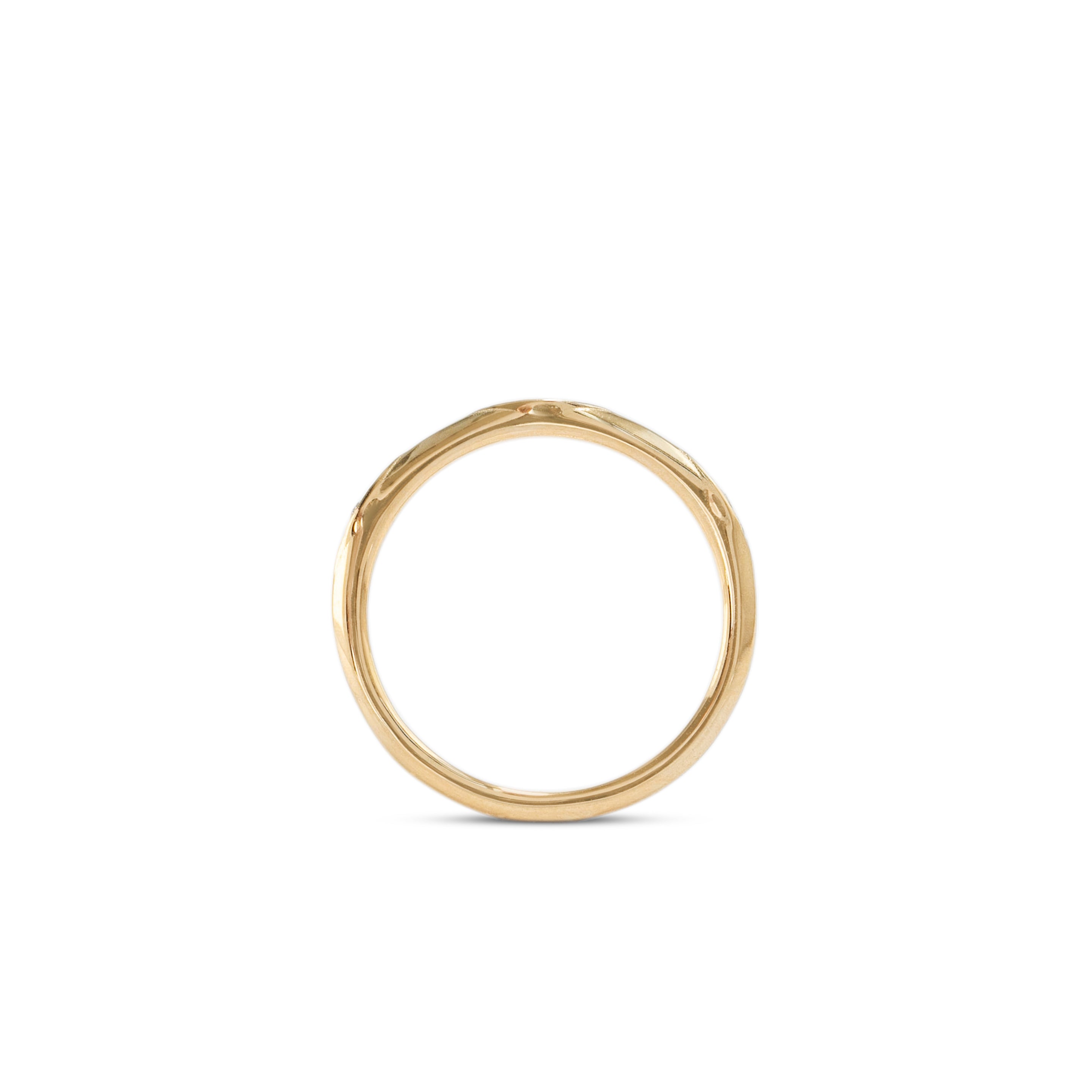 Side profile view of Demi Kinship Band / Pave Round Natural Diamonds by Sandy Rubin