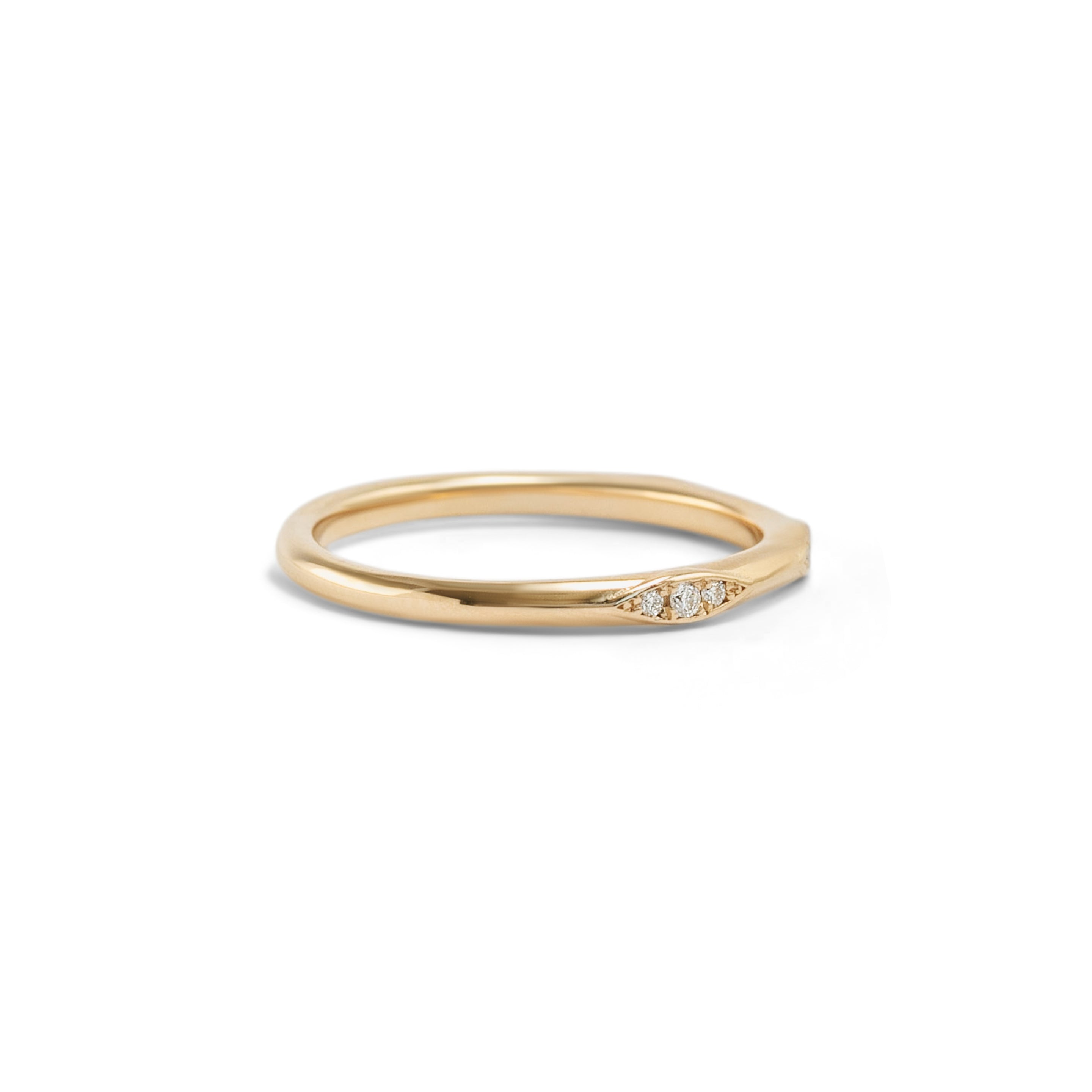 Side view of Demi Kinship Band / Pave Round Natural Diamonds by Sandy Rubin